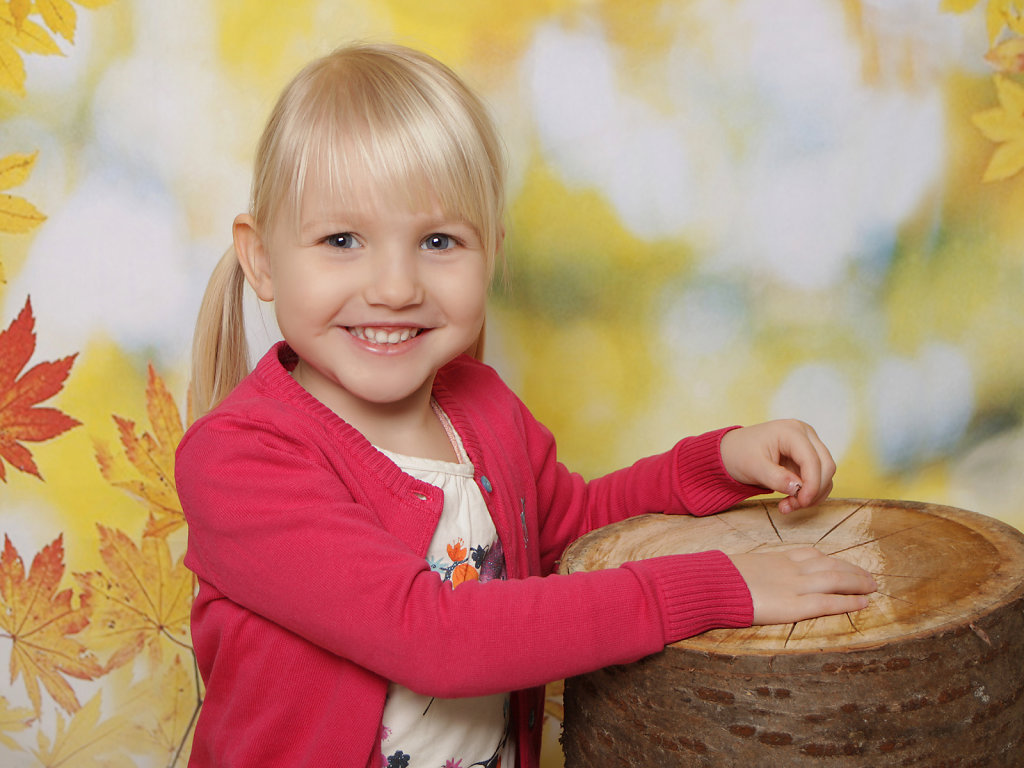 Set Herbstwald